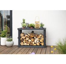 Étagère de rangement pour bois de chauffage avec bois de chauffage et plantes sur une terrasse