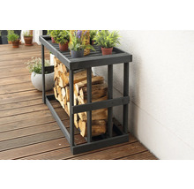 Étagère à bois de chauffage en bois avec bois de chauffage et plantes