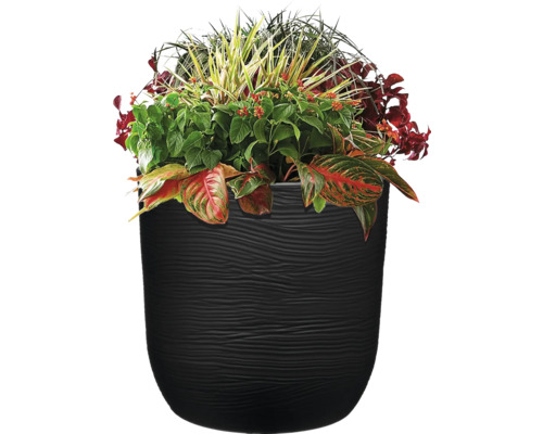 Schwarzer Pflanztopf mit diversen Pflanzen und Blättern
