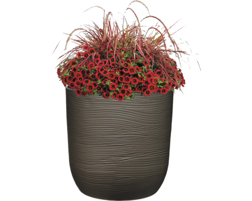 Blumentopf mit roter Zauberglöckchen Bepflanzung und Ziergras