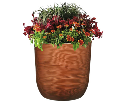 Blumentopf mit Bepflanzung