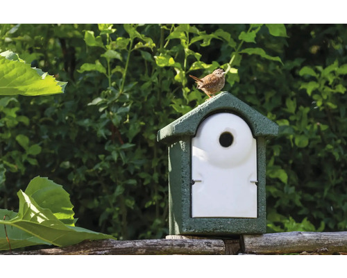Vogelhaus mit kleinem Vogel auf dem Dach