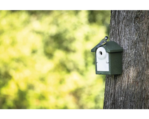 Vogelhaus an Baumstamm mit Vogel auf dem Dach