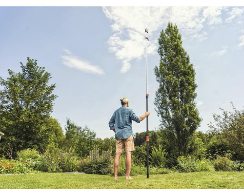 Un homme utilise une scie à élaguer télescopique dans le jardin pour l''entretien des arbres