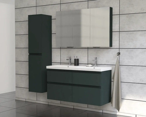 Salle de bain avec meuble sous-lavabo, armoire de toilette et armoire haute