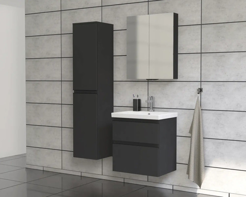 Salle de bain avec meuble sous-lavabo, armoire de toilette et armoire haute