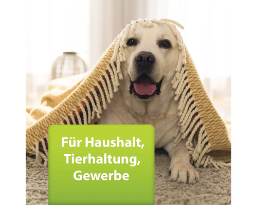 Heller Hund mit Decke für Haushalt, Tierhaltung, Gewerbe