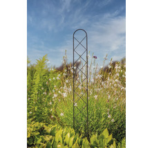 Rankhilfe aus Metall im Garten zwischen Pflanzen