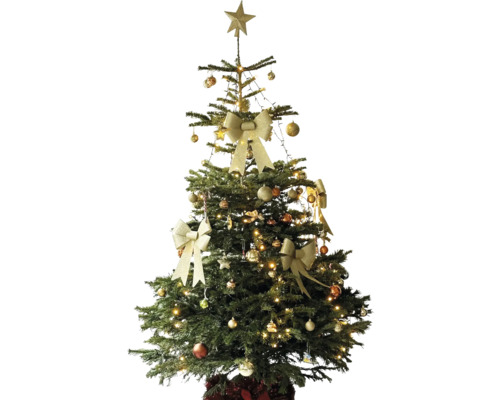 Geschmückter Weihnachtsbaum mit Schleifen, Christbaumkugeln, Lichterkette und Sternspitze