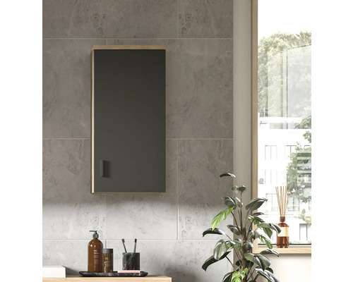 Salle de bains avec une armoire suspendue avec miroir