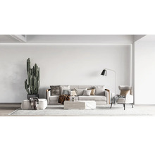 Salon lumineux avec canapé, fauteuil, cactus et lampadaire