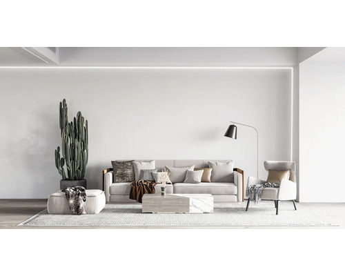 Salon lumineux avec canapé, fauteuil, cactus et lampadaire