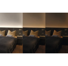 Schlafzimmer mit Bett, Nachttischen und indirekter Beleuchtung