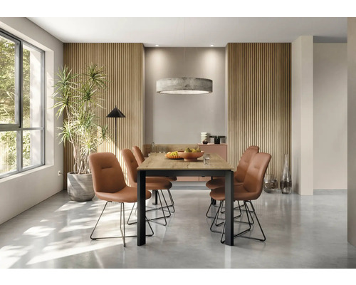 Helles Esszimmer mit Esstisch, Stühlen, Zimmerpflanze und Pendelleuchte