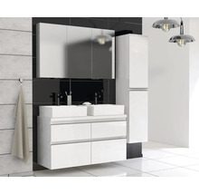 Ensemble de salle de bains moderne avec double vasque, armoire de toilette à miroir et armoire haute pour un aménagement élégant.