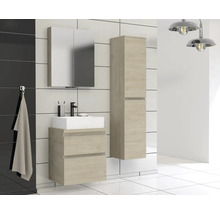 Jungborn Waschtischunterschrank TRENTA BxHxT 56,7 x 64,6 x 44,5 cm Frontfarbe eiche holzdekor TRE DESK 60 2Z S 70