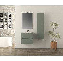 Salle de bains avec meuble sous-lavabo, miroir, armoire haute et plante