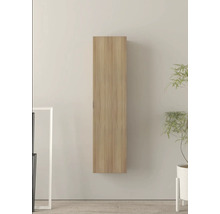 Armoire suspendue en bois fixée à un mur