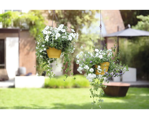 Deux pots de fleurs suspendus avec des fleurs blanches dans le jardin