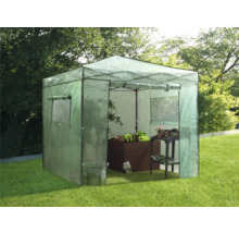 Serre avec plantes et table de jardin dans le jardin