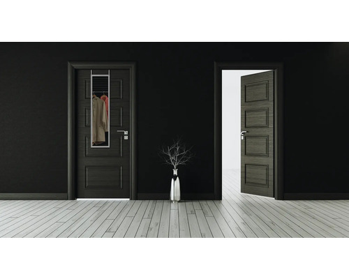 Intérieur avec deux portes, un miroir à suspendre et un vase à fleurs