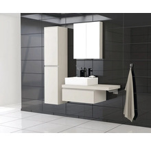 Badezimmer mit Waschtisch, Spiegelschrank und Hochschrank vor dunklem Fliesenspiegel