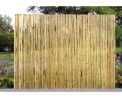 Clôture de jardin en bambou à l''extérieur