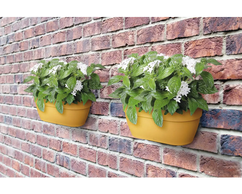 Zwei Blumenkästen mit grünen Pflanzen und weißen Blüten hängen an einer Backsteinmauer.