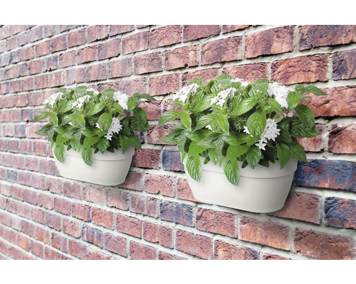 Zwei weiße Wandblumenkästen mit Pflanzen an einer Backsteinmauer