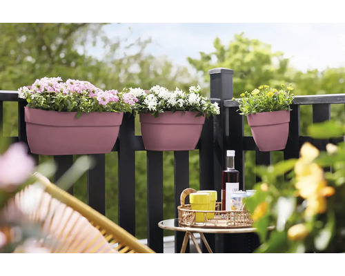 Szene mit drei Blumenkästen mit verschiedenen Blumen am Balkongeländer