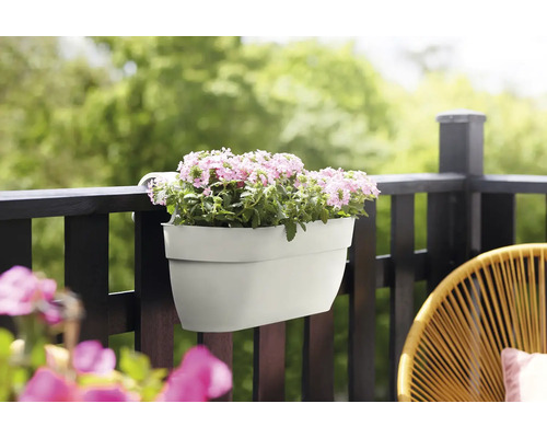 Blumenkasten mit lila Blüten auf einem Balkon