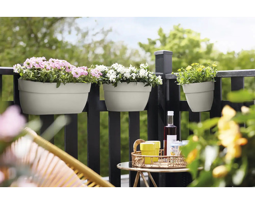 Szene mit drei Blumenampeln auf einem Balkon mit Getränken auf einem Tisch