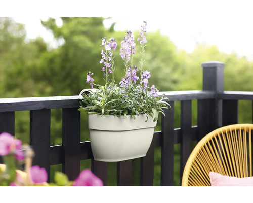 Blumenkasten mit lila Blumen auf einem Balkongeländer