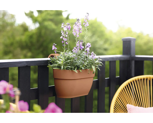 Blumenkasten aus Kunststoff mit Lavendel auf einem Balkon