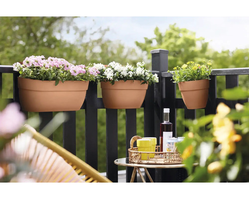 Blumenkästen mit Pflanzen an einem Balkongeländer, ergänzt durch einen Tisch mit Getränken.