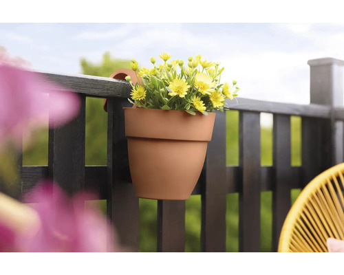 Blumenampel mit gelben Blumen an einem Balkongeländer