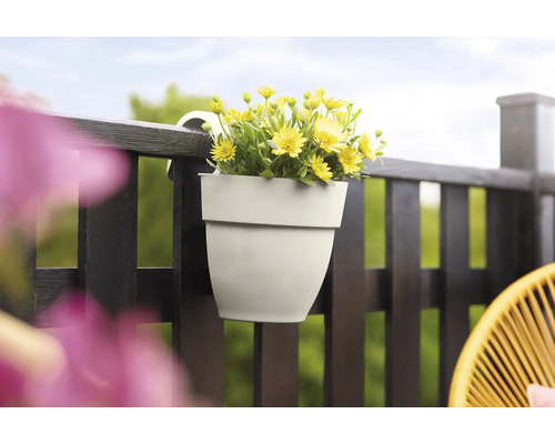 Gelbe Blumen in einem Balkonkasten, der an einem dunklen Holzbalkon befestigt ist.
