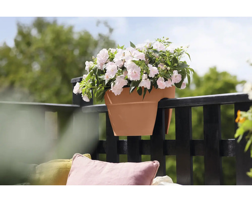 Jardinière avec des fleurs roses, fixée sur une balustrade de balcon