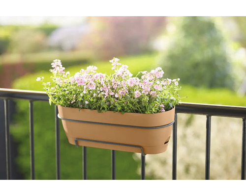 Jardinière avec des fleurs sur un garde-corps de balcon