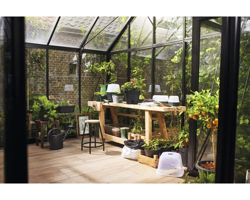 Gewächshaus mit Werkbank, Pflanzen und Gartengeräten für den Anbau von Gemüse und Blumen