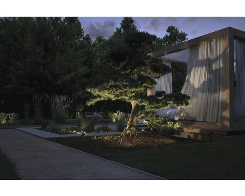Jardin illuminé avec arbre, allée et pavillon le soir