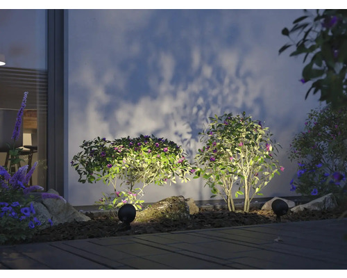 Jardin avec plantes et éclairage extérieur pour un éclairage d''ambiance