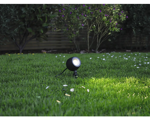 Scène de jardin avec un seul spot de jardin rond dans l''herbe