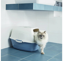 Katze verlässt eine Katzentoilette in einem Badezimmer