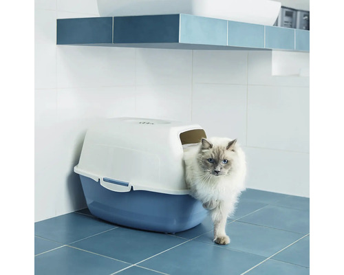 Katze verlässt eine Katzentoilette in einem Badezimmer