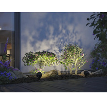 Scène avec éclairage de jardin, plantes et mur de maison