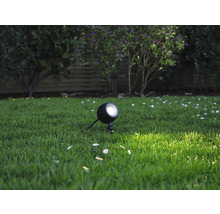 Jardin avec pelouse et un seul spot de jardin rond pour l''éclairage