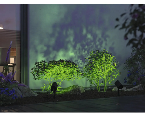 Jardin illuminé avec arbuste et projecteur