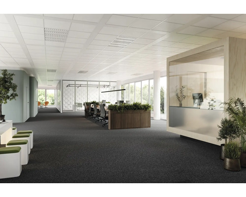 Bureau lumineux avec faux plafond, moquette et mobilier de bureau