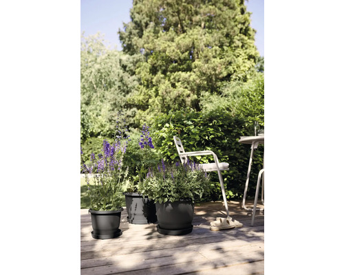 Gartenszene mit Blumen in Pflanzgefäßen auf einer Holzterrasse